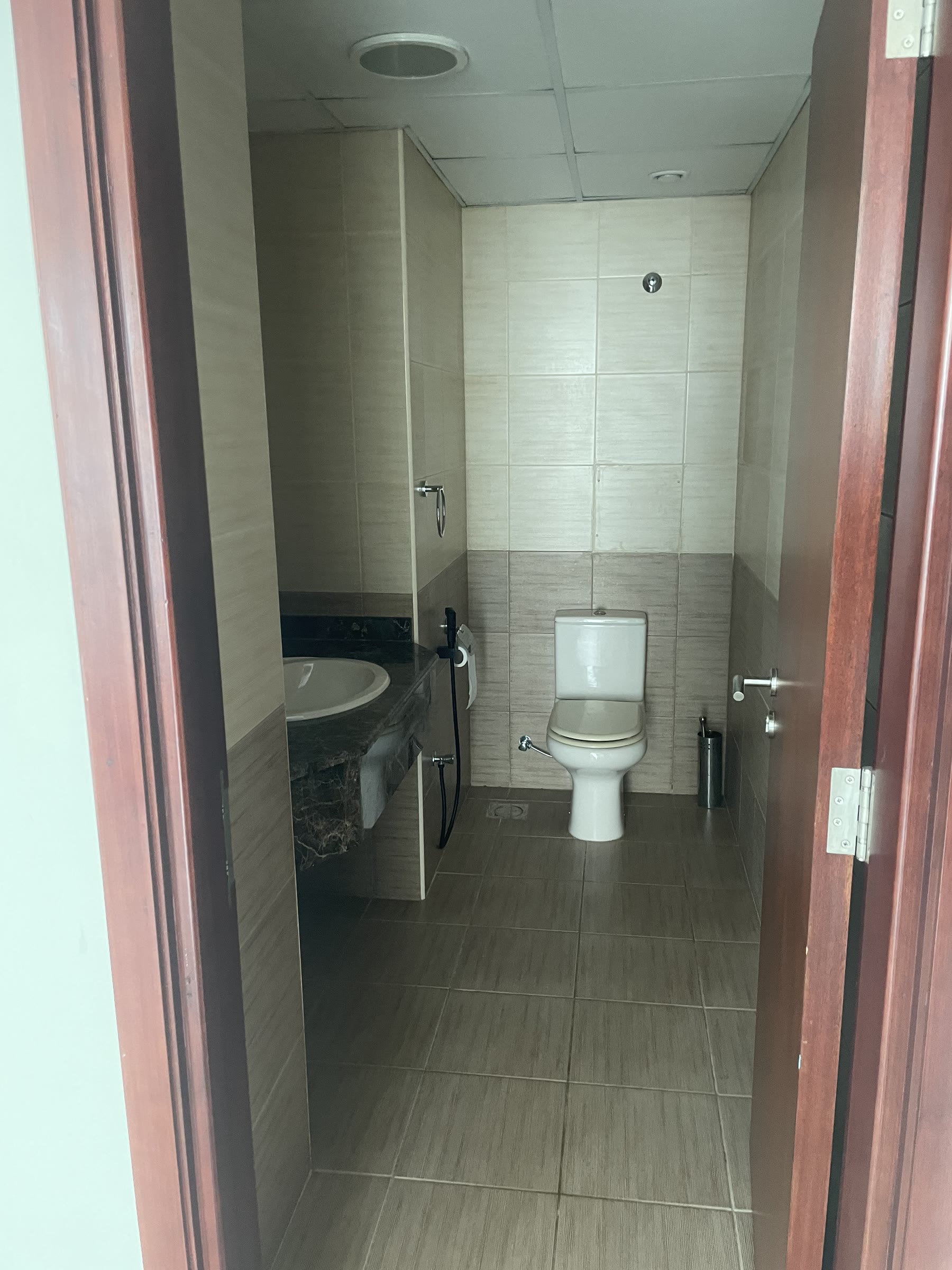 Guest toilet before renovation